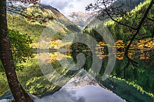 Landscape of mirror lake and forest at Jiuzhaigou national park, China