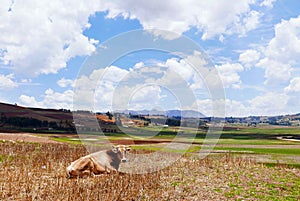 Panoramic country view, Cusco region, Peru