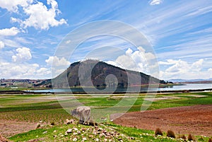 Panoramic country view, Cusco region, Peru