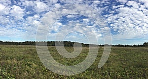 Panoramic countryside landscape with field and forest at far under beautiful blue sky with many white clouds in summer