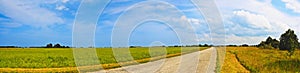 Panoramic countryside wide road view with trees behind. Rural summer landscape. Typical european pastoral meadow, pasture, field.