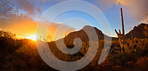 Panoramic Desert Sunset