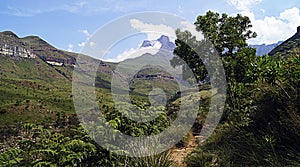 Panoramic of the Drakensberg Mountains, South Africa