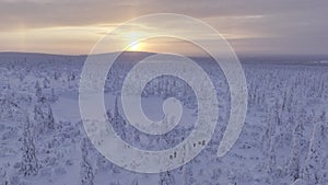 Panoramic drone view of hikers cross-country skiing in finnish Lapland