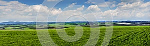 Panoramic of early spring time from a green field of winter wheat