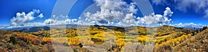 Panoramic of a fall landscape with a mountain range covered in yellow foliage in Aspen, Colorado