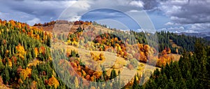 Panoramic fall scenery. Landscape with orange, red, green tree. Fields and forests. The lawn is enlightened by the sun rays.