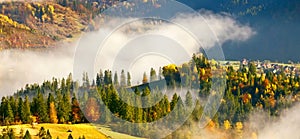 Panoramic foggy autumn  landscape,  scenic nature  scenery, Carpathian mountains. Ukraine, Europe