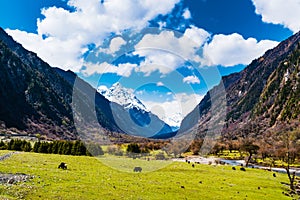 Panoramic of Four Girls Mountain