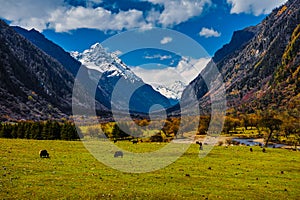 Panoramic of Four Girls Mountain