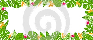 Panoramic Frame from tropical leaves, palms, plants, flowers, monstera. Botanical exotic plants elements. Vector