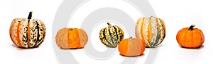 Panoramic Gourds and Pumpkins on White Background