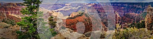 Panoramic of the Grand Canyon Featuring Mount Hayden