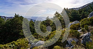 Panoramic green landscape with green plants, rocks and blue sky with sun flare. La Morcuera, Madrid photo