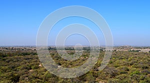 Panoramic Green Landscape of a Prosopis Juliflora forest captured from a Hill - A Natural Background with Blue Sky