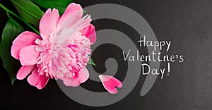 Panoramic greeting card Happy Valentine`s Day