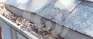 Panoramic gutter clogged by dried leaves and messy dirt need clean-up