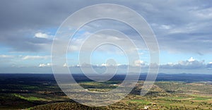 Panoramic of holm oaks with cloudy sky