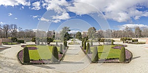 Panoramic image of an area of the Retiro park in Madrid, with trees pruned by a legion of gardeners in the foreground and part of