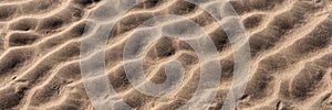 Panoramic image. Beach sand texture