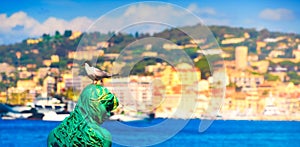 Panoramic image of a black headed seagull and the mermaid Atlante