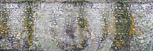 Panoramic image of a Decorativeold flint wall with green and yellow vegetable moss