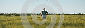 Panoramic image of middle-aged farmer with hands on hips standing in unripe barley crops field and looking over plantation,