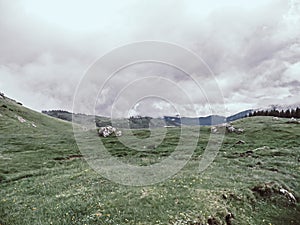 Panoramic image of mysterious green misty fog pine tree forest and mountains . Bucegi Mountains Romania Spring Day .