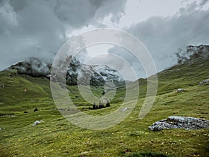 Panoramic image of mysterious green misty fog pine tree forest and mountains. Bucegi Mountains Romania Spring Day