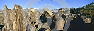 Panoramic image of petroglyphs at Three Rivers Petroglyph National Site, a (BLM) Bureau of Land Management Site, features more