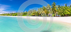 Panoramic island beach. Tropical landscape of summer scenery, white sand with palm trees. Luxury travel vacation destination
