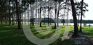 Panoramic Lake View with Trees