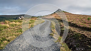 Camino de Santiago, Galicia, Spain photo