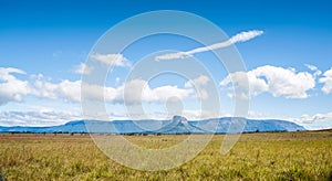 Panoramic landscape of the Auyantepui Mountain