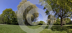 Landscape of a city park with a lawn in clear springe day