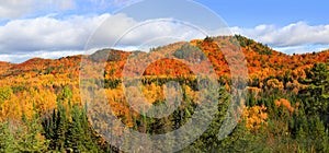 Panoramic landscape of fall foliage in Quebec