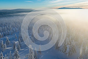 Panoramic landscape of Jizera Mountains, view from peak Izera with frosty spruce forest, trees and hills. Winter time