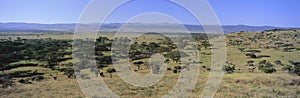 Panoramic landscape of Lewa Conservancy, Kenya, Africa with Mount Kenya in view