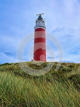 Panoramic landscape with the lighthouse of Cocksdorp with grass dunes in the forground, Nationalpark Duinen van Texel, Texel islan