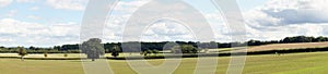 Panoramic landscape of meadow in Yorkshire