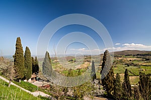 Panoramic landscape. Montepulciano, Italy