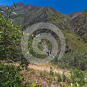 Panoramic landscape with mountain river with cascades of waterfalls in field in Kaskasu gorge in summer in Kazakhstan