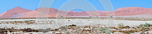 Panoramic landscape of Namib desert