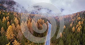 Panoramic landscape of road in autumn forest, fall season
