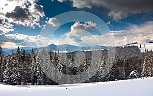 Panoramic landscape of the snow-capped mountain peaks on a sunny winter day. Carpathian mountains range.