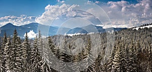 Panoramic landscape of the snow-capped mountain peaks on a sunny winter day. Carpathian mountains range.