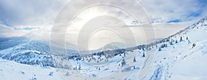 Panoramic landscape of a snowy forest in the mountains on a sunny winter day. Ukrainian Carpathians, near Mount Petros