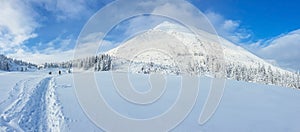 Panoramic landscape of a snowy forest in the mountains on a sunny winter day whis. Ukrainian Carpathians, near Mount Petros, there