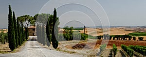 Panoramic landscape of Tuscany