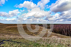 Panoramic landscape of valley plain with trails and trees in forest against blue sky